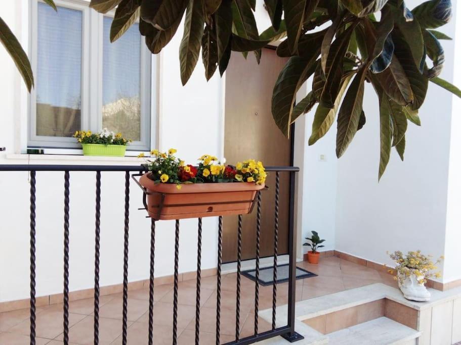Casa Di Cristina Apartment Fiumicino Exterior foto