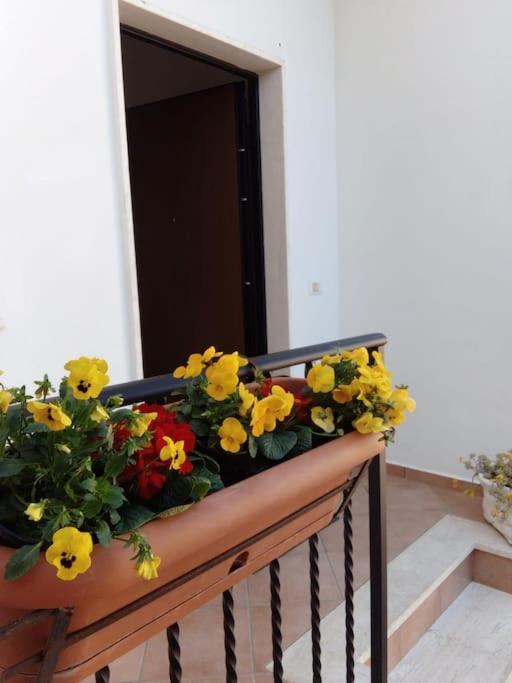 Casa Di Cristina Apartment Fiumicino Exterior foto