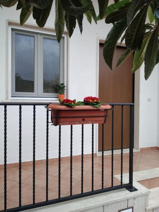 Casa Di Cristina Apartment Fiumicino Exterior foto